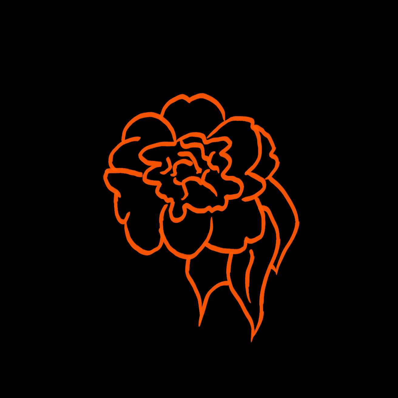 山茶花