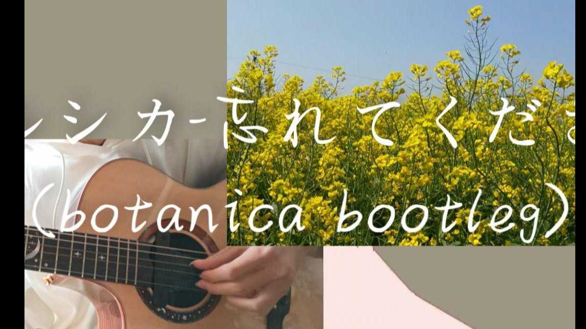 【botanica/midtempo】工程免费分享//ヨルシカ-忘れてください//remix